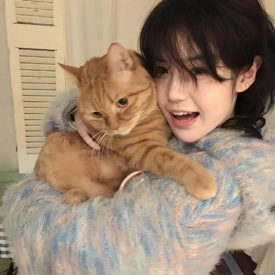 布莱泽奥特曼先行特别篇